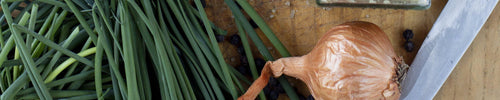 Hawaiian Bamboo Jade Sea Salt - Salt´sUp