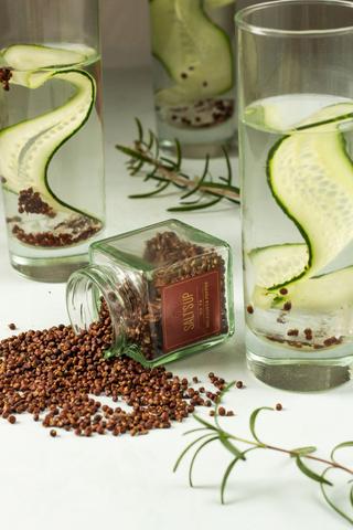 Salt’s Up Melegueta Pepper