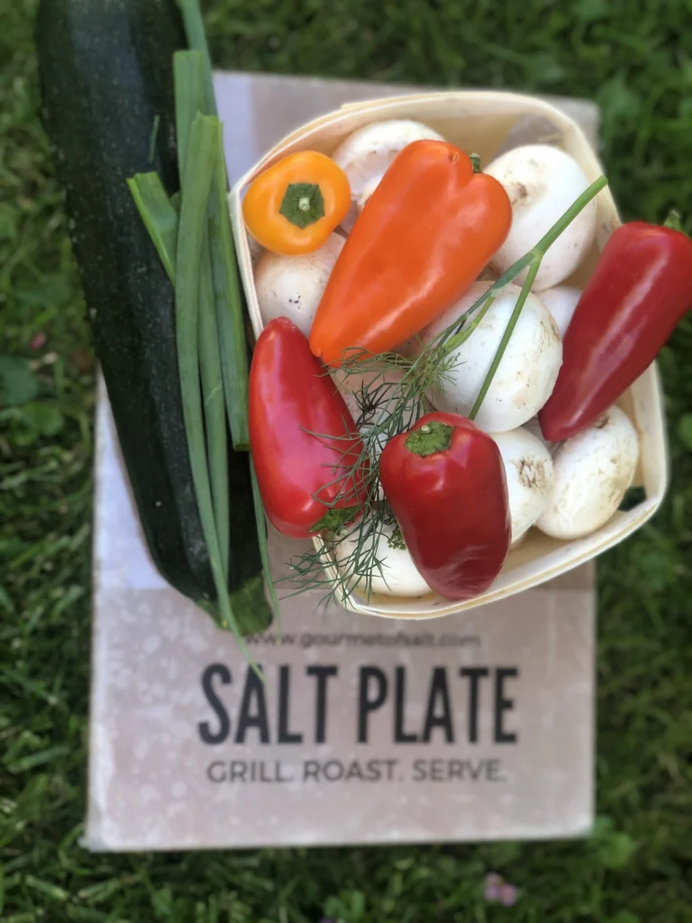 An overhead view of a Salt Plate box on grass, topped with a zucchini, green onion, and a basket of white mushrooms and colorful mini bell peppers.